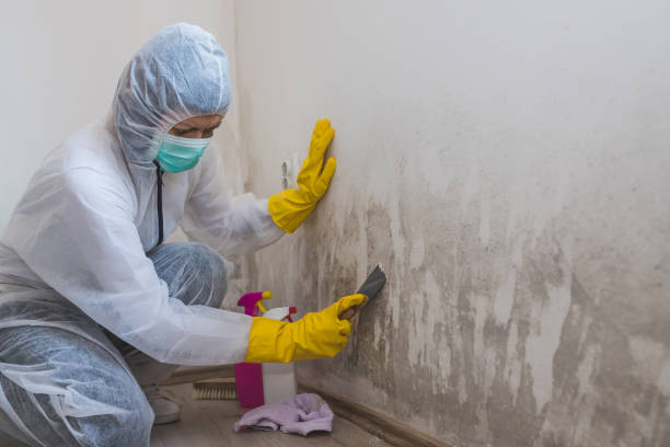 Mold Remediation for Vacation Homes in Copeland, OK